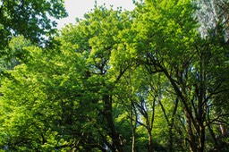IMG_3034