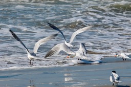 IMG_3037