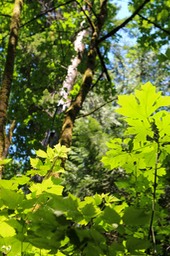 IMG_3057