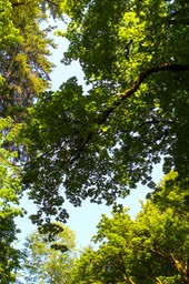 IMG_3063