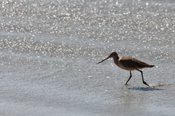 IMG_3065