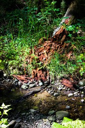 IMG_3065