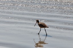 IMG_3068
