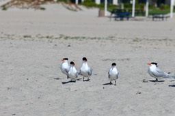 IMG_3069