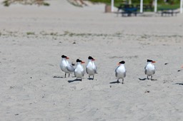 IMG_3070