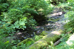 IMG_3072
