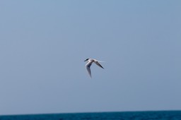 IMG_3072