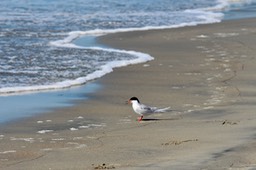 IMG_3074