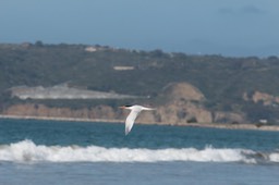 IMG_3075
