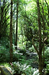 IMG_3083