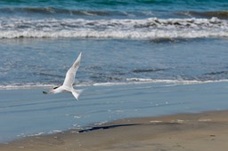 IMG_3106