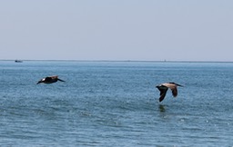 IMG_3182