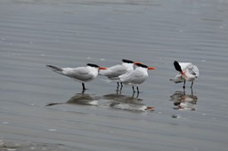 IMG_3256
