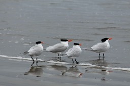 IMG_3257