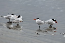 IMG_3261