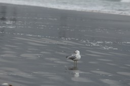 IMG_3274