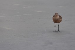 IMG_3290