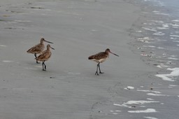 IMG_3292