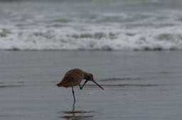 IMG_3296