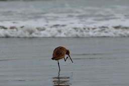 IMG_3297