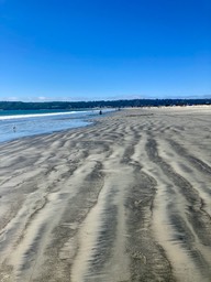 IMG_3308