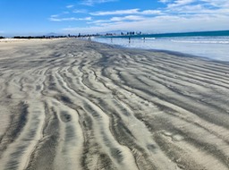 IMG_3311