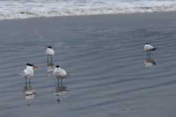 IMG_3318