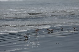 IMG_3332