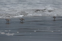IMG_3333