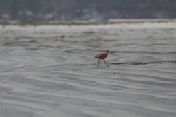 IMG_3340