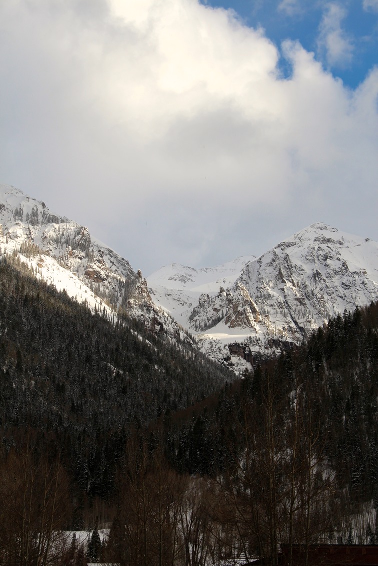 IMG_3353.jpg