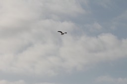 IMG_3357