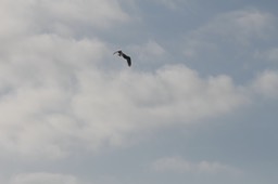 IMG_3358