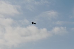 IMG_3359