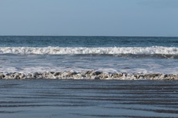 IMG_3361