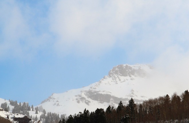 IMG_3364.jpg