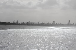 IMG_3367