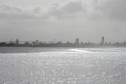 IMG_3368