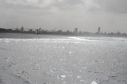 IMG_3369