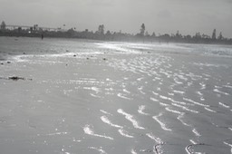 IMG_3373