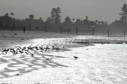 IMG_3381