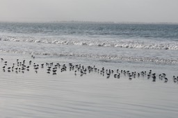 IMG_3391
