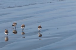 IMG_3397