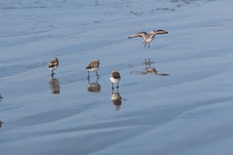 IMG_3398