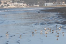 IMG_3403
