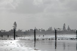 IMG_3420