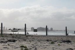 IMG_3460