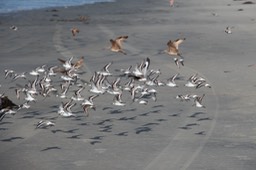 IMG_3469