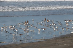 IMG_3472