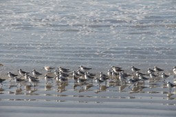 IMG_3474